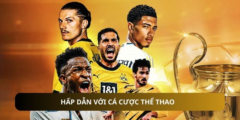 Hấp dẫn với cá cược thể thao